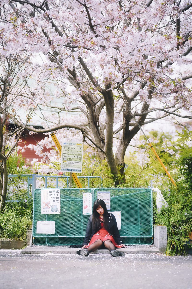 Shimachang tweet media