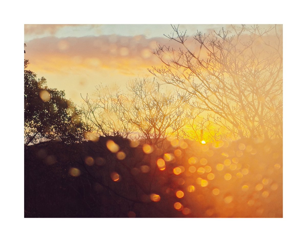 Tetsuji FUJINO | 藤野哲次 tweet media