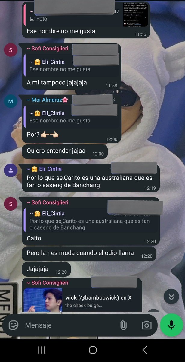 Carito vio a skz | ARIRANG ⊙⊝⊜ 🇦🇷🇦🇷 tweet media