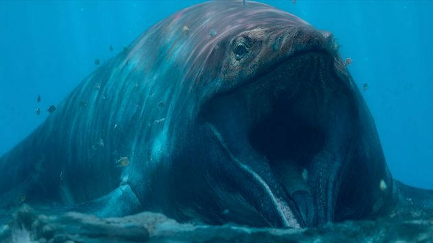 Aberrantologist tweet media