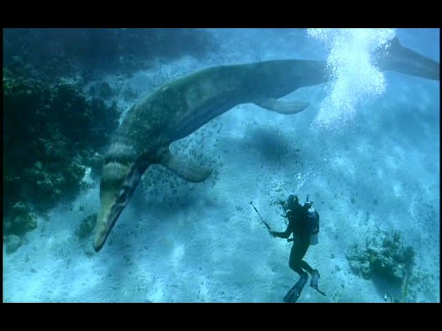 Aberrantologist tweet media