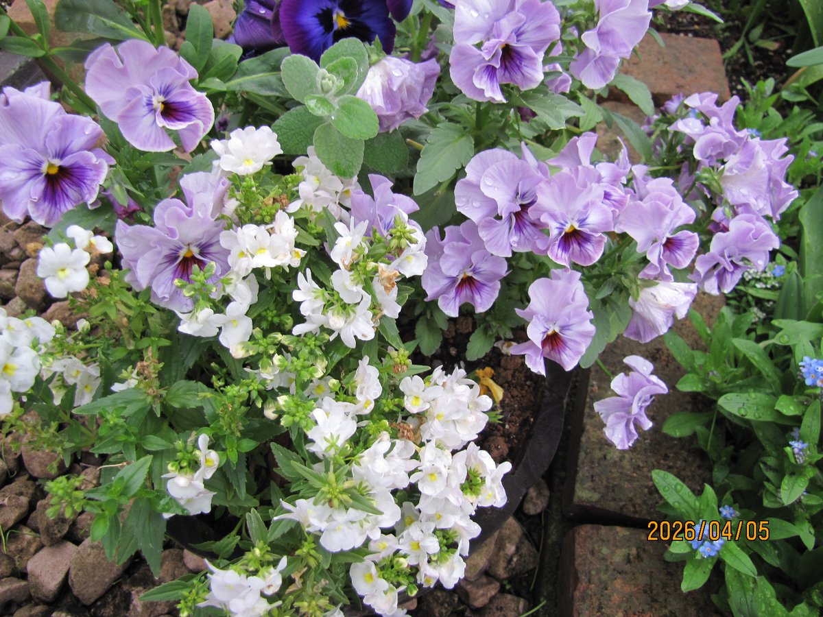 あっちこっち2 tweet media