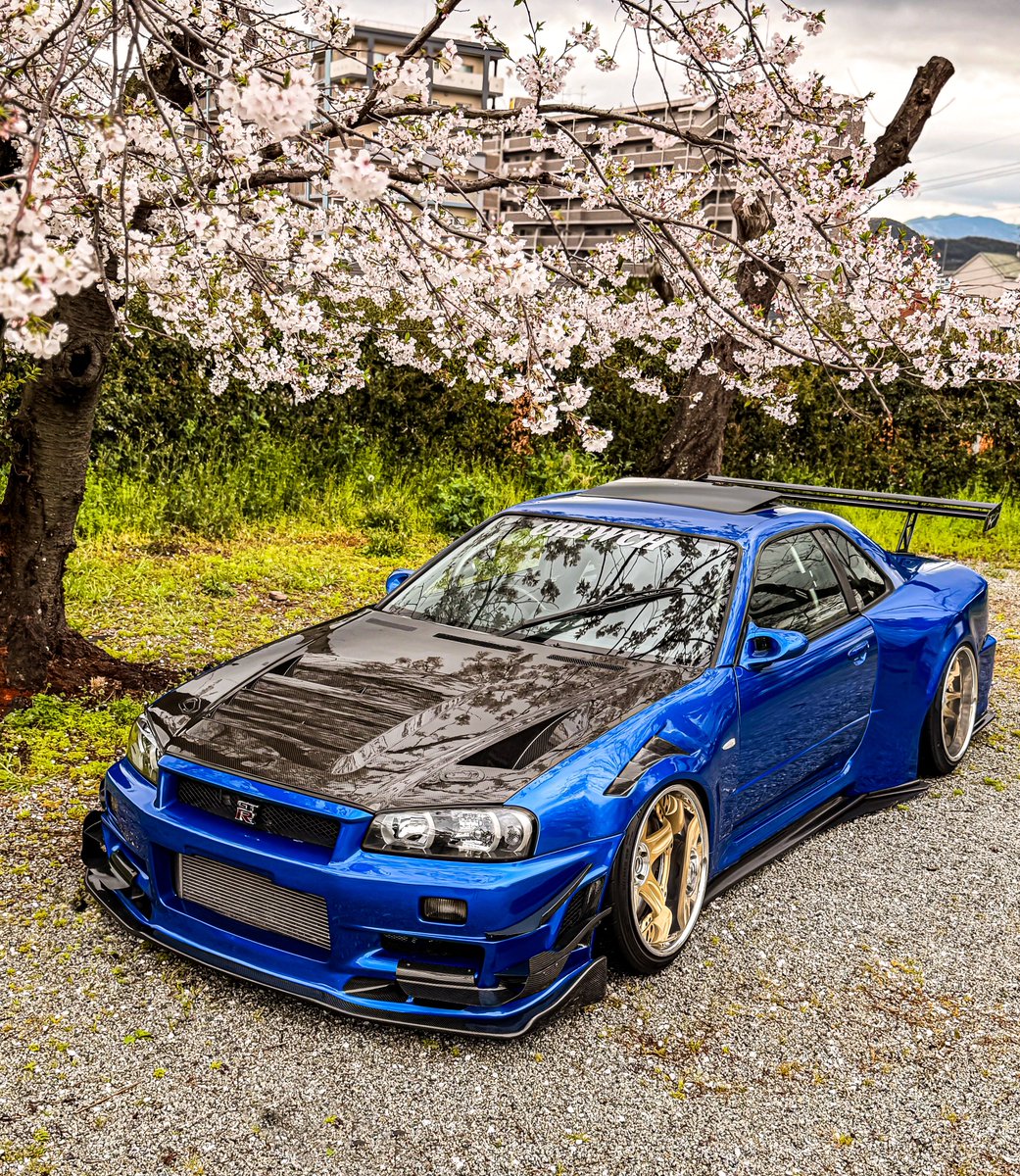 Tom-and-R34 tweet media