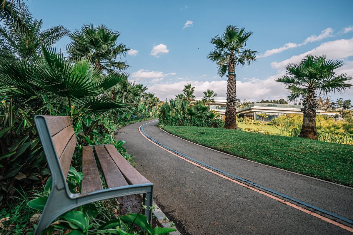 Ambassador Molalign Asfaw tweet media