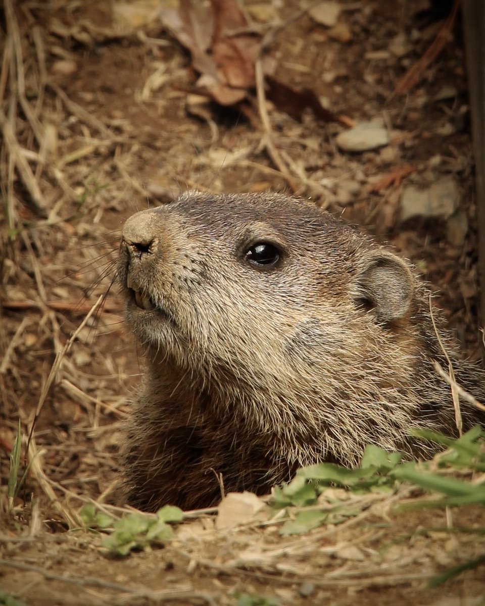 Sarah 🥨 tweet media