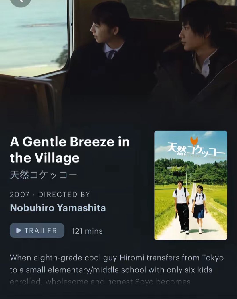 Cherry blossom tweet media