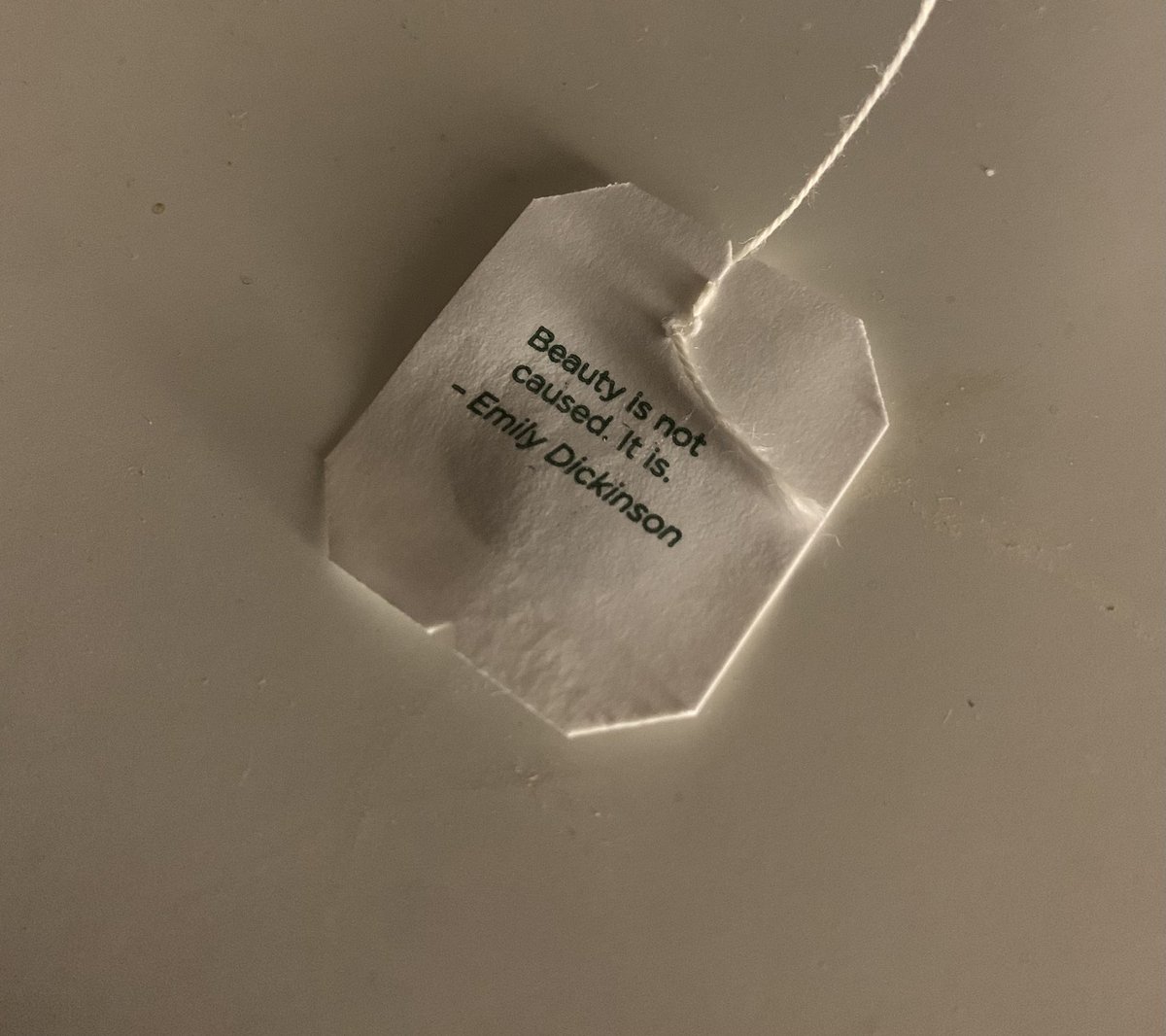 Cherry blossom tweet media