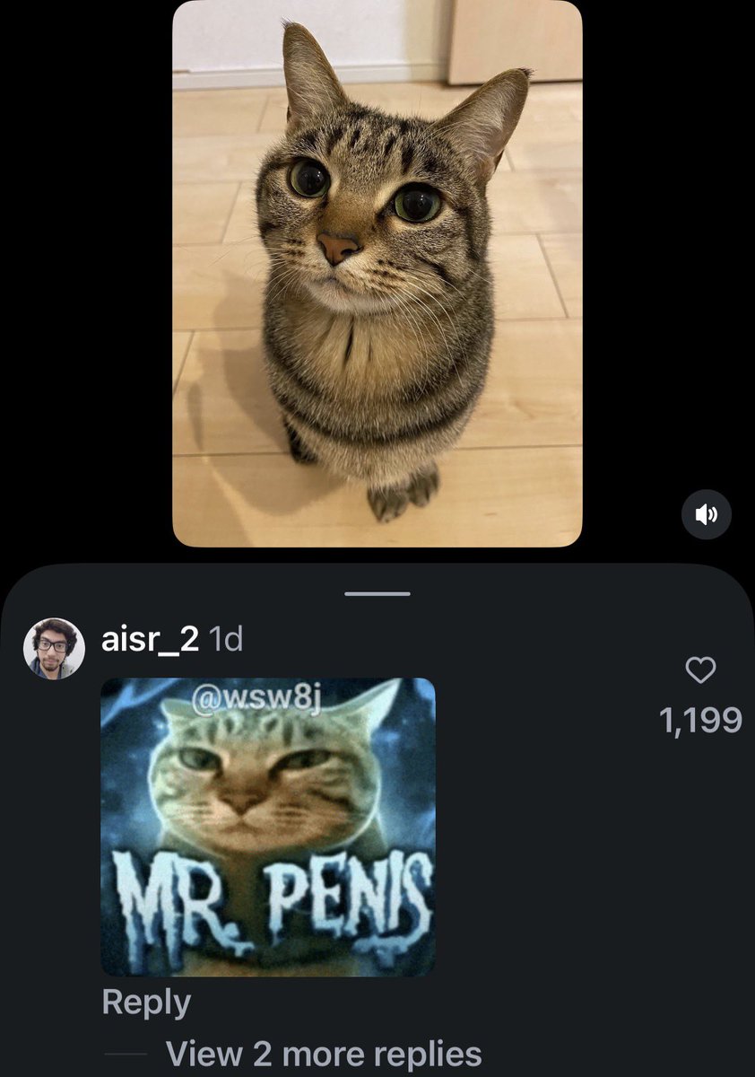 ๐๐ฉ๐ญ๐ข๐ฆ๐ฎ๐ฌ ๐๐ซ๐ข๐ฆ๐ tweet media