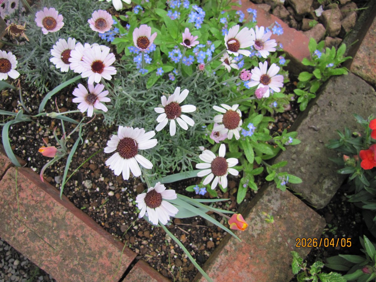 あっちこっち2 tweet media