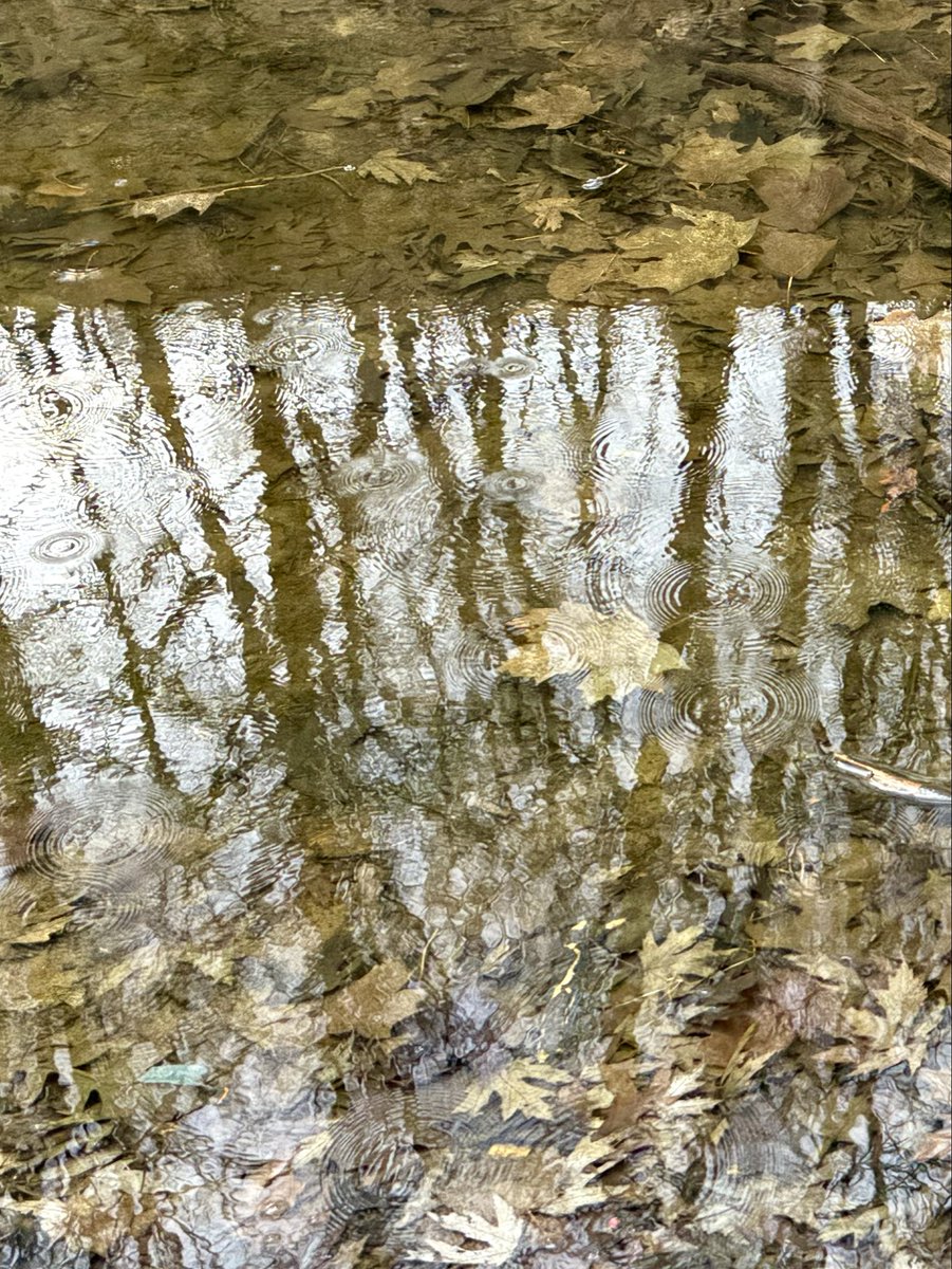 heatflow tweet media