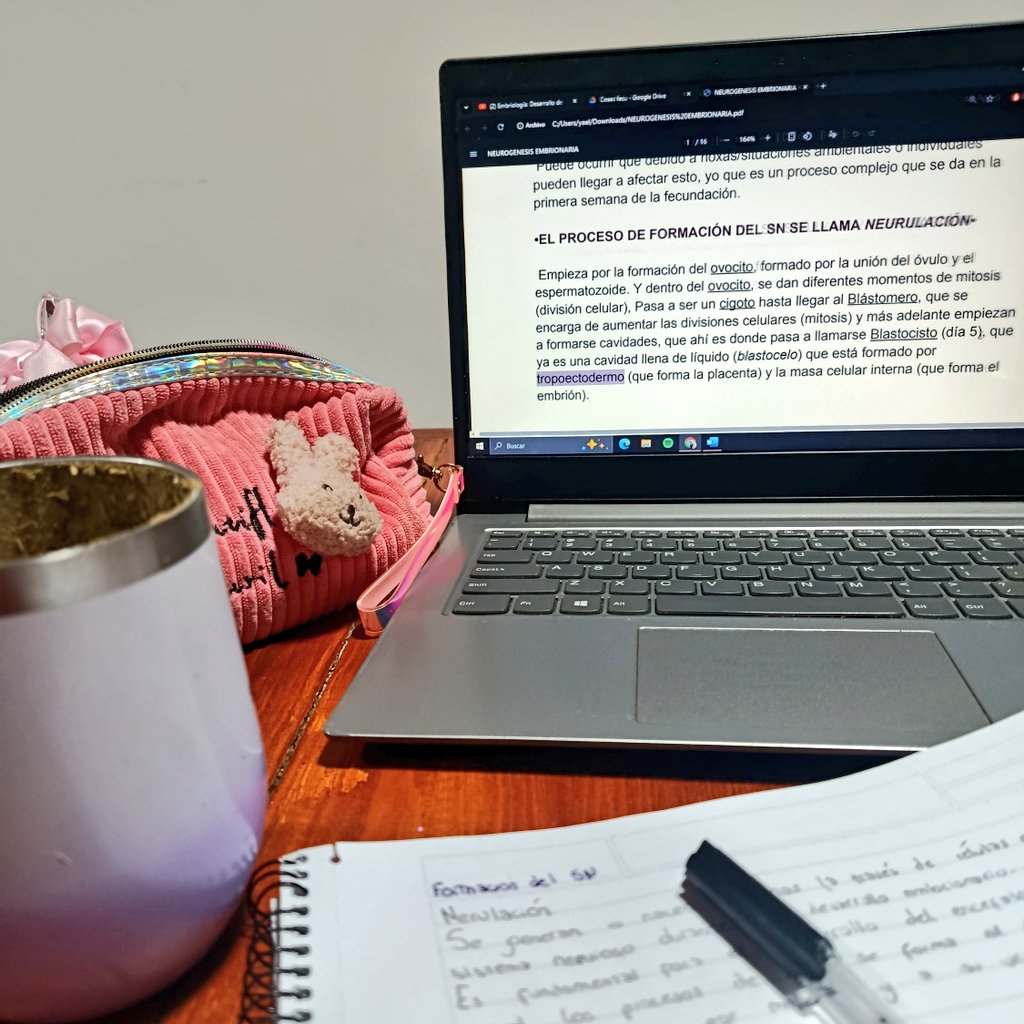 𝒂𝒍𝒅𝒂𝒏𝒂 tweet media