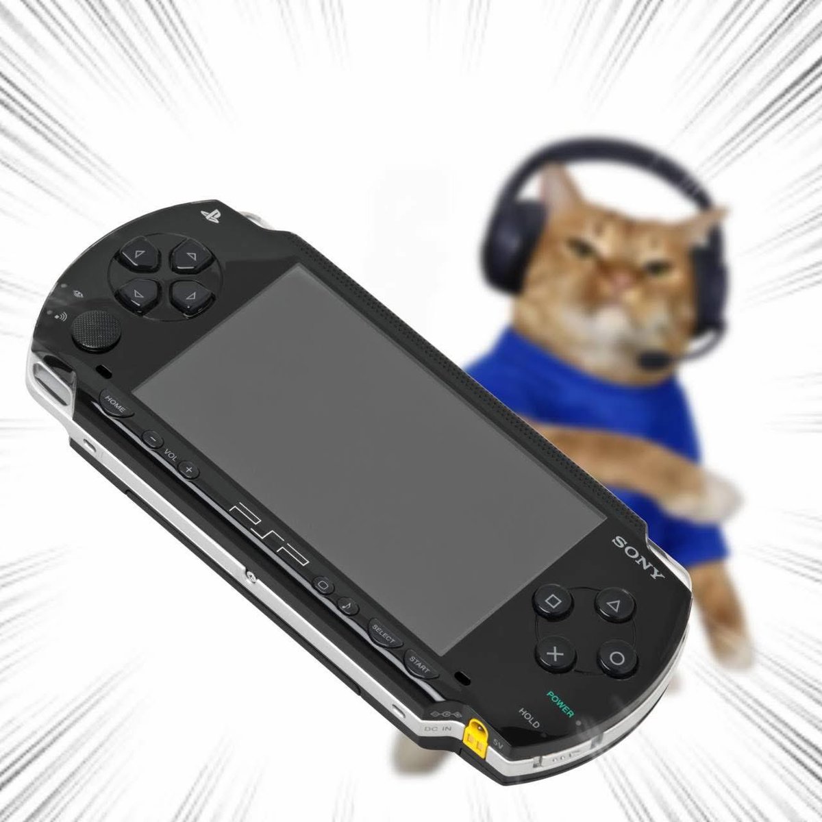 Throwing Things Daily tweet media