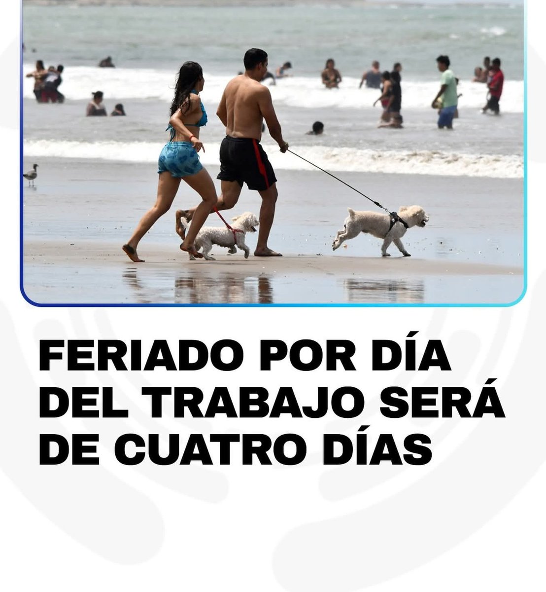 NoticiasAlInstanteEs tweet media