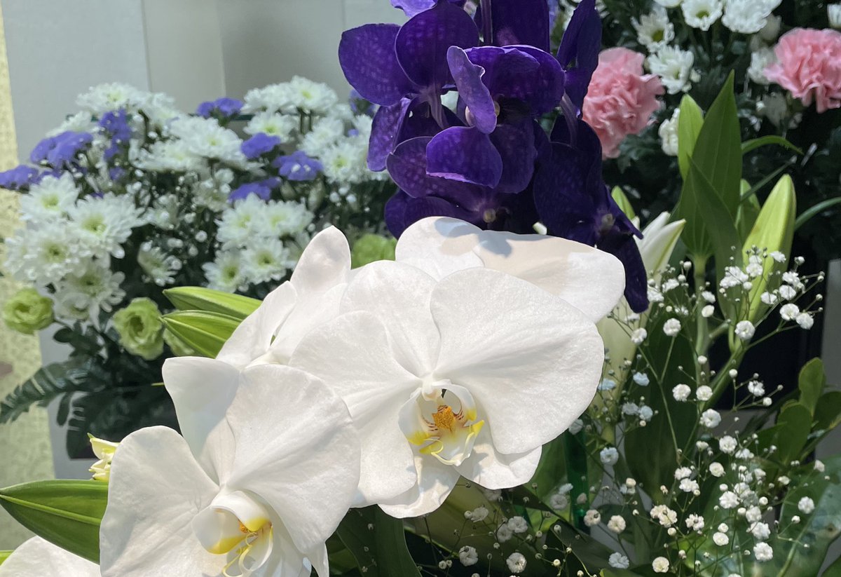 さくらんぼ🌸🍒乳がんステージⅣ tweet media