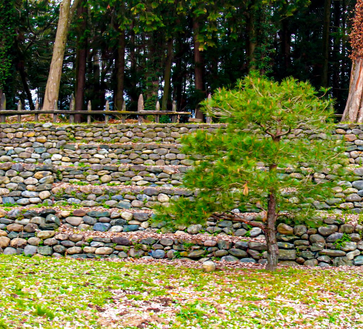 たびねこロック tweet media