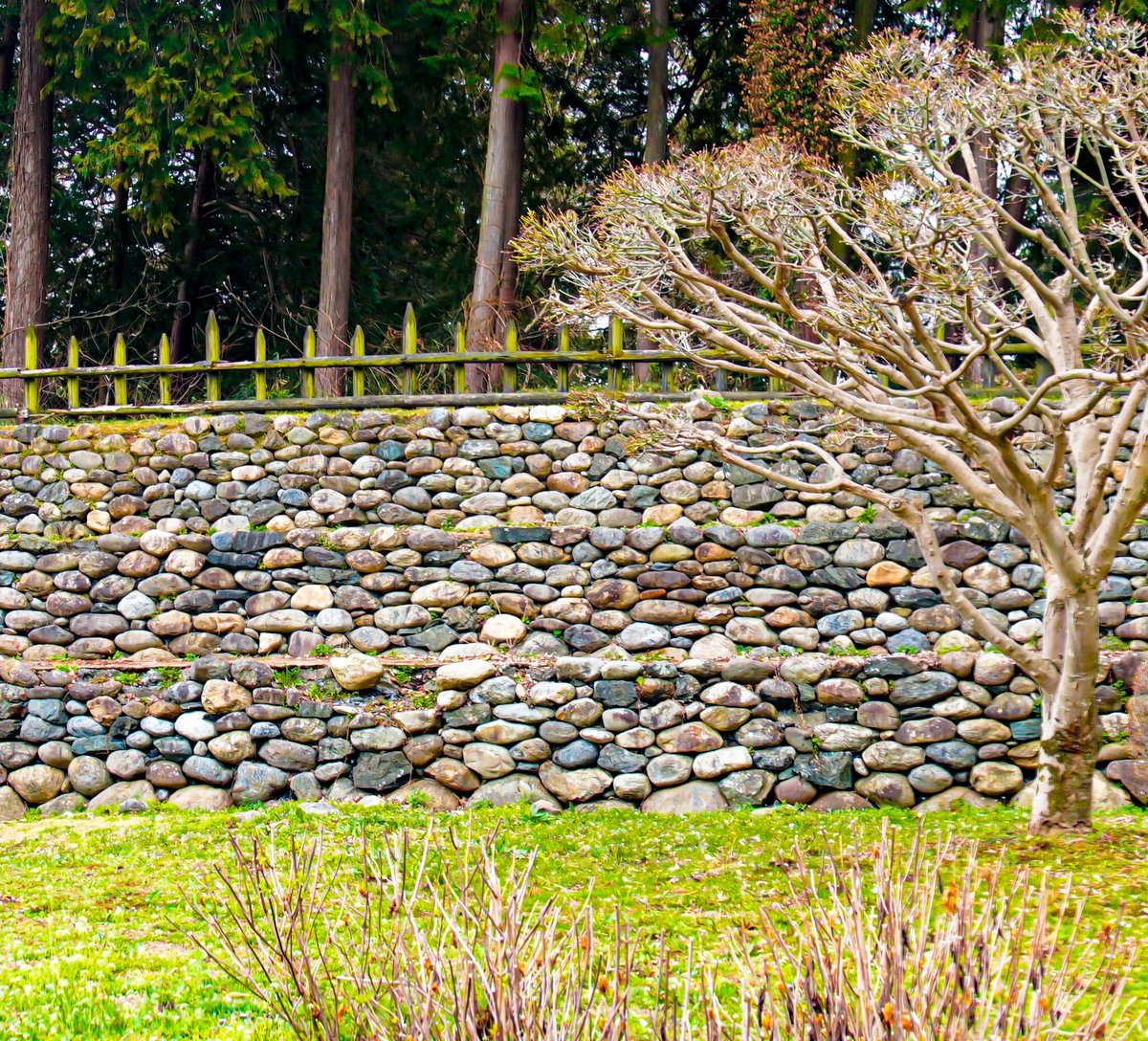 たびねこロック tweet media