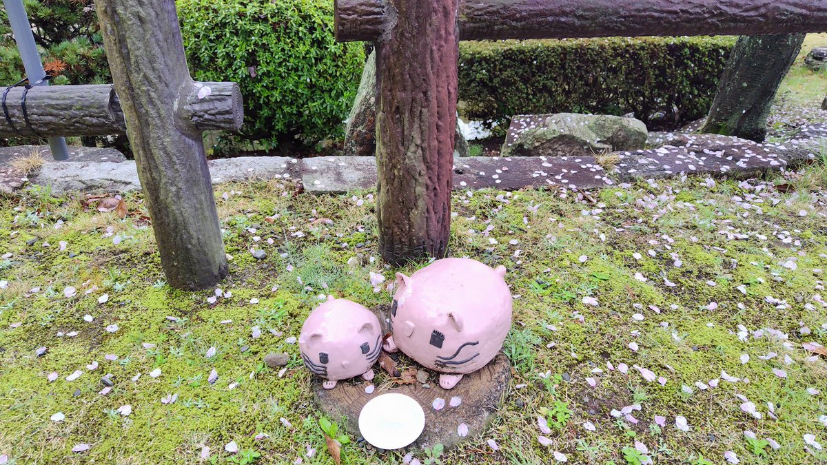 コロイドン tweet media