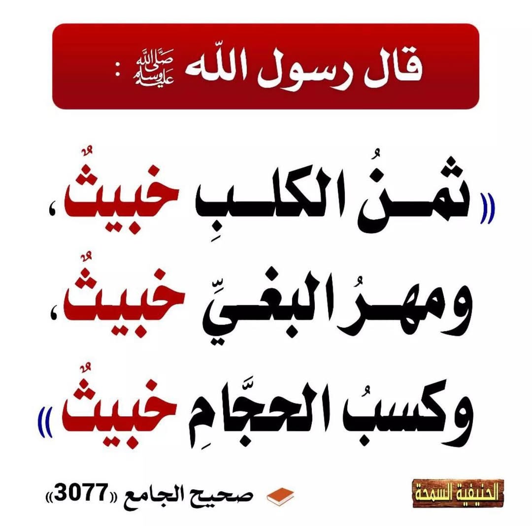 الكتابُ والسُّنة tweet media