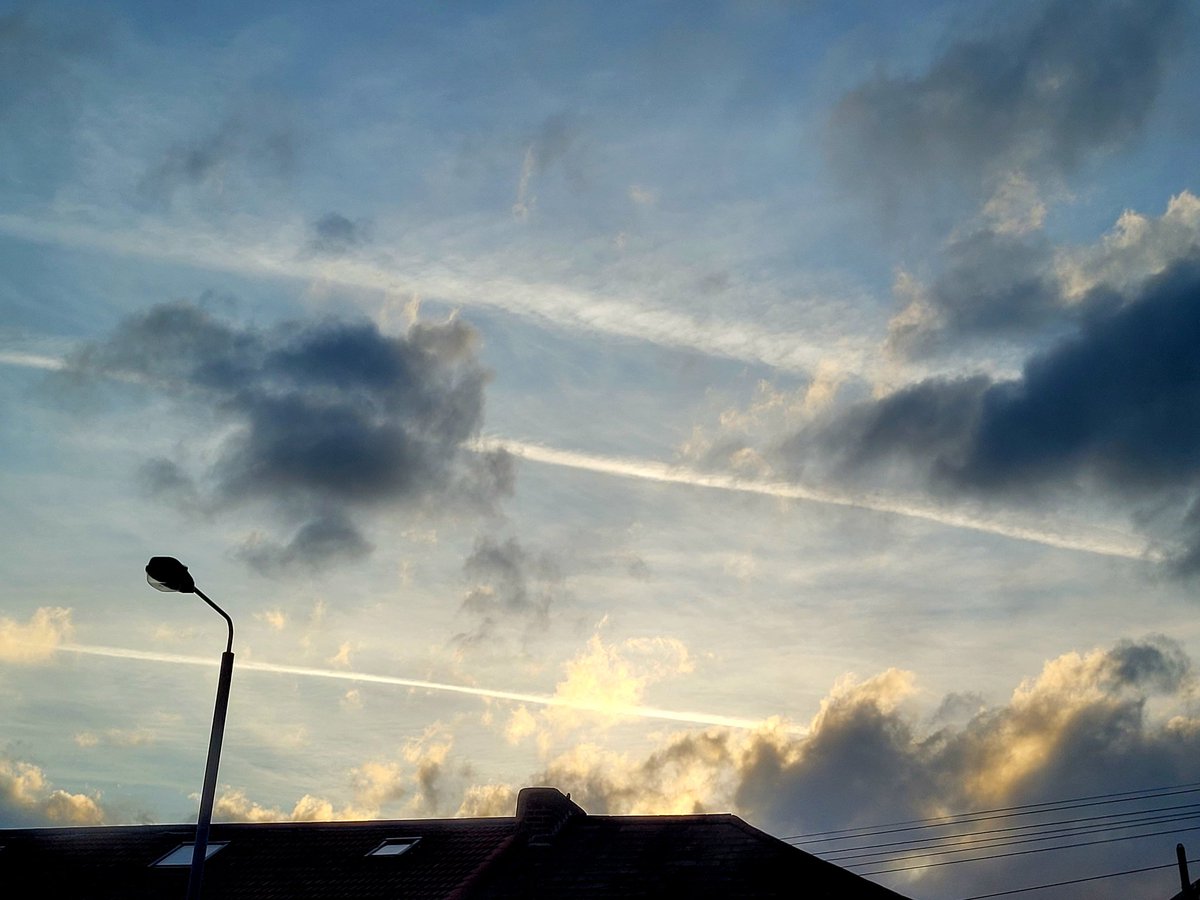 Little fish in a big XRPond 🏴‍☠️ tweet media