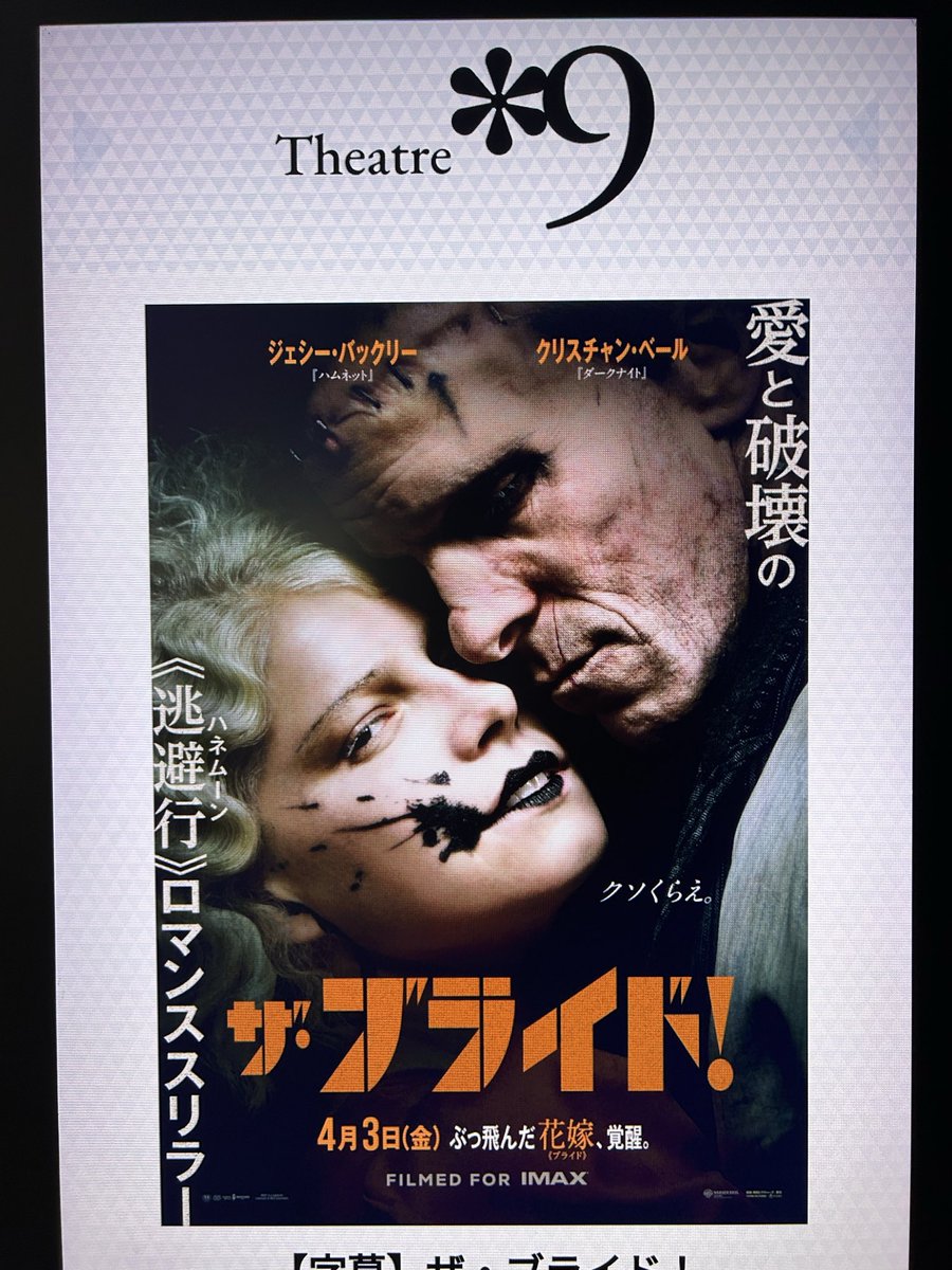 キンセンカ/pot marigold🇯🇵 tweet media