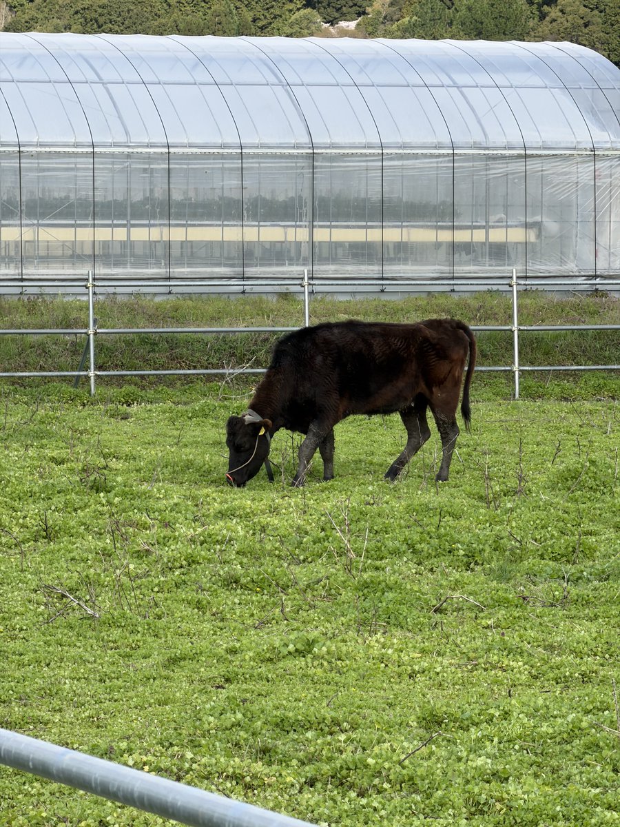 YTK-system tweet media