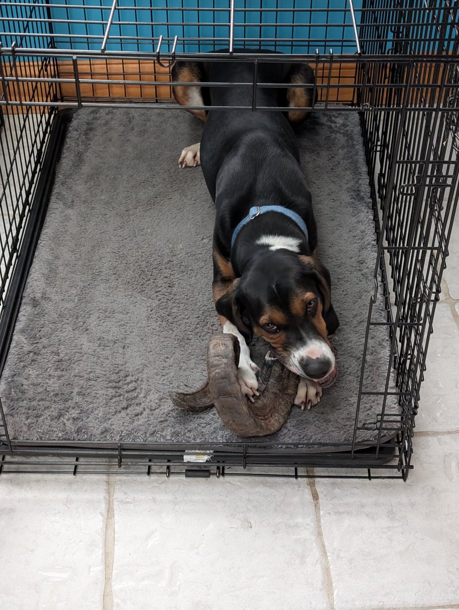 Daniel Franke tweet media