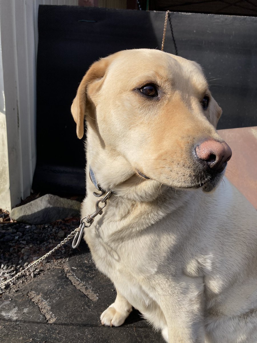 タスキー@長野移住しますた tweet media