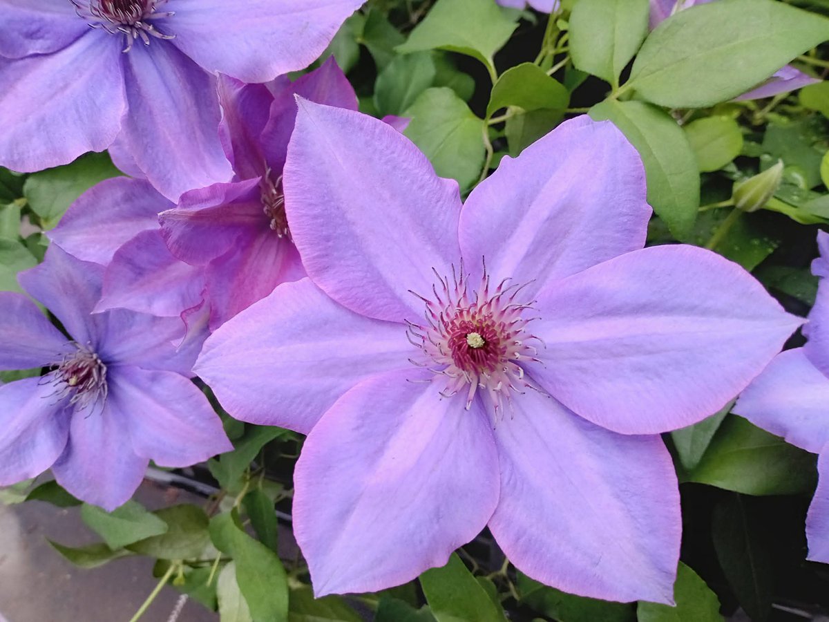 ぼっち tweet media