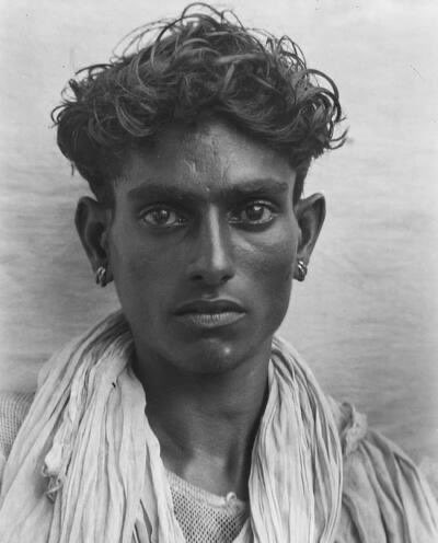 Hymenoptera_pics tweet media