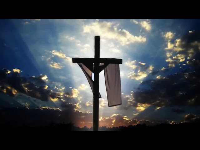 Vincent M tweet media