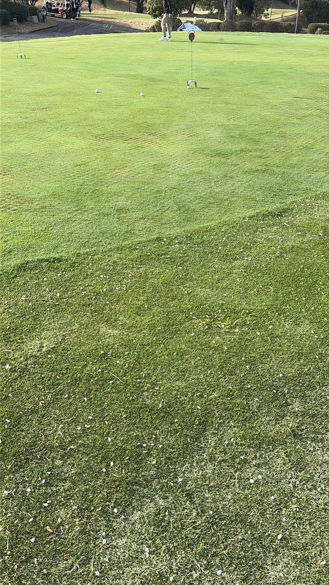 なが・ぶち男 tweet media