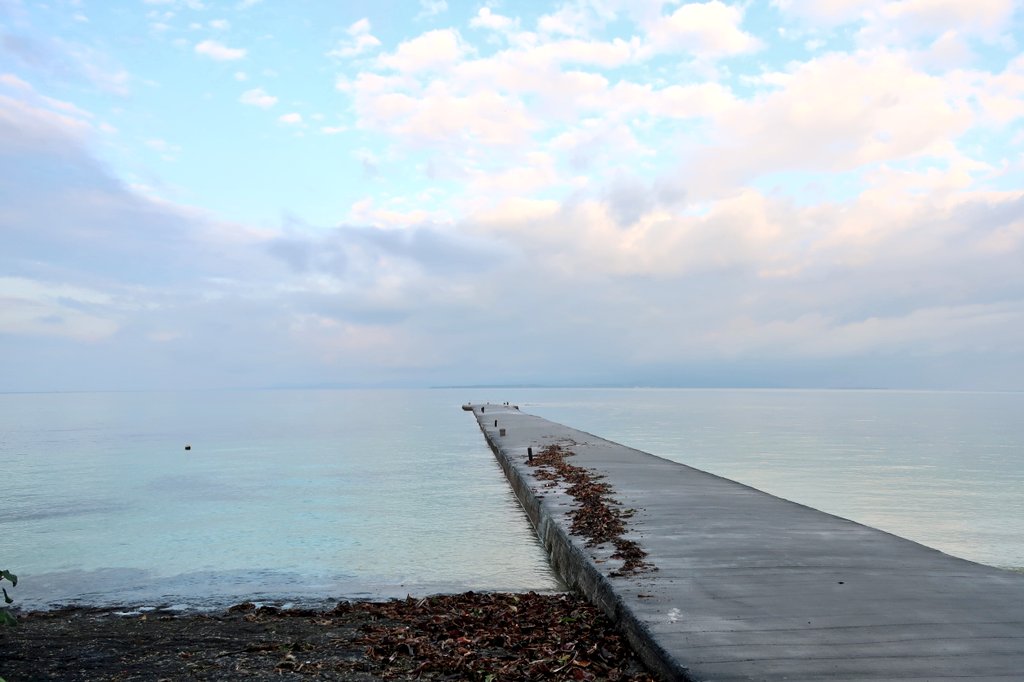 わっぴー tweet media