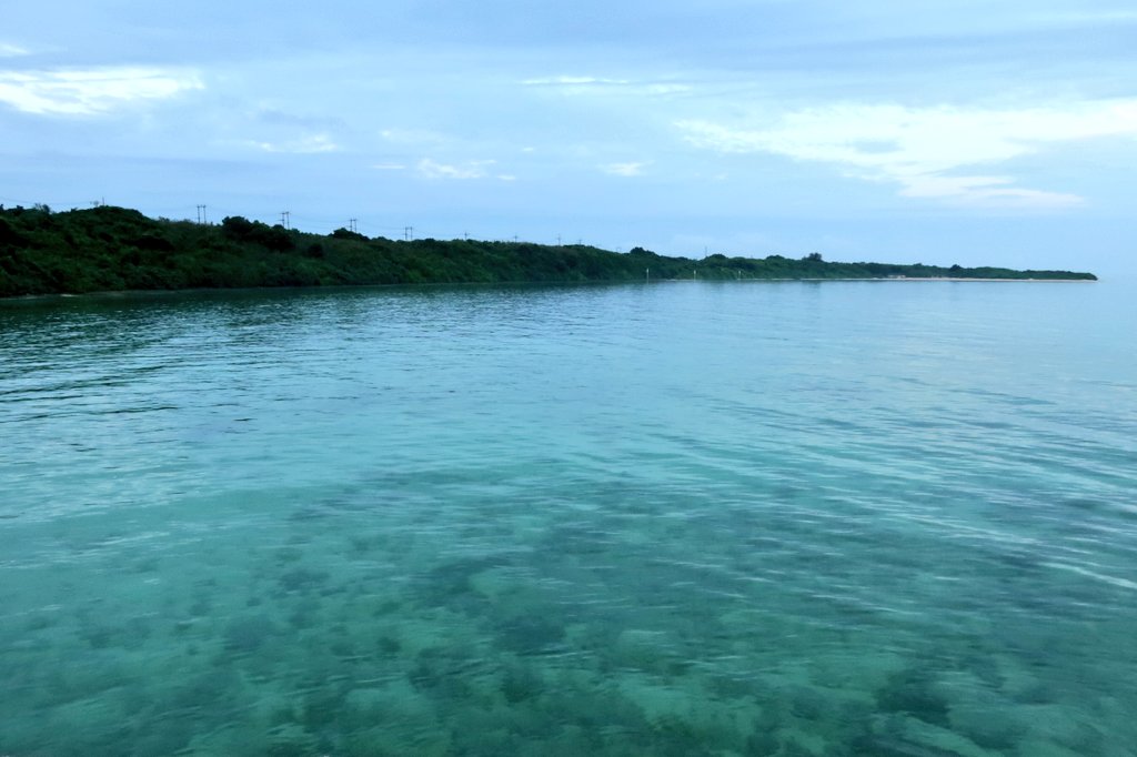 わっぴー tweet media