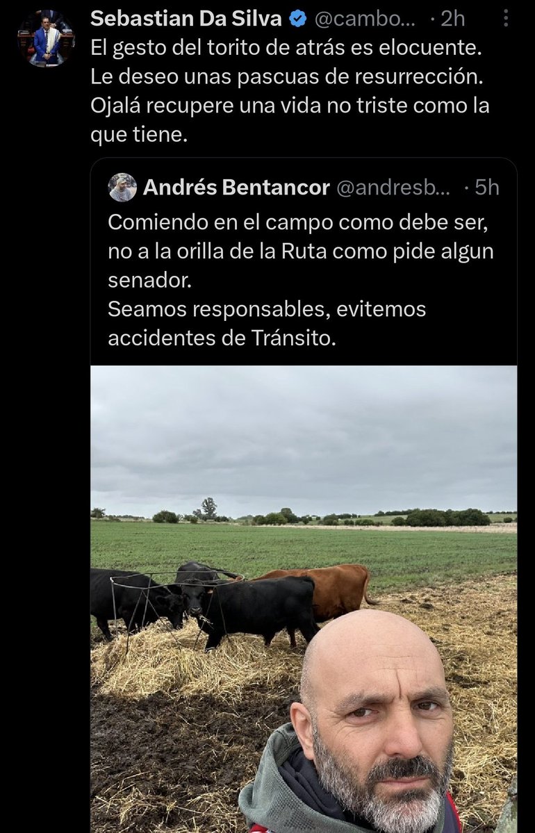 Veronica tweet media