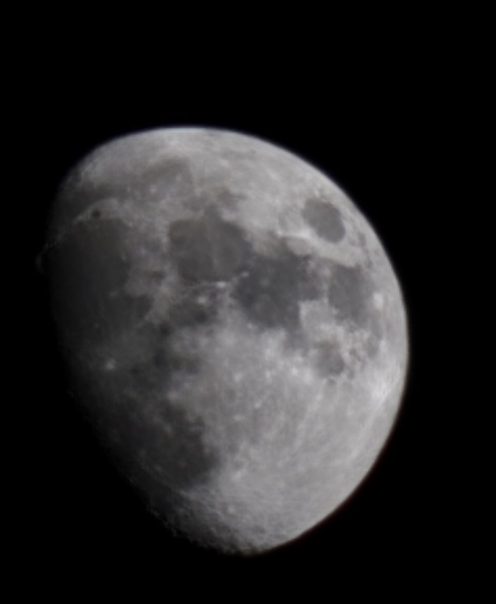 Tiffany Savage 🇺🇸 tweet media