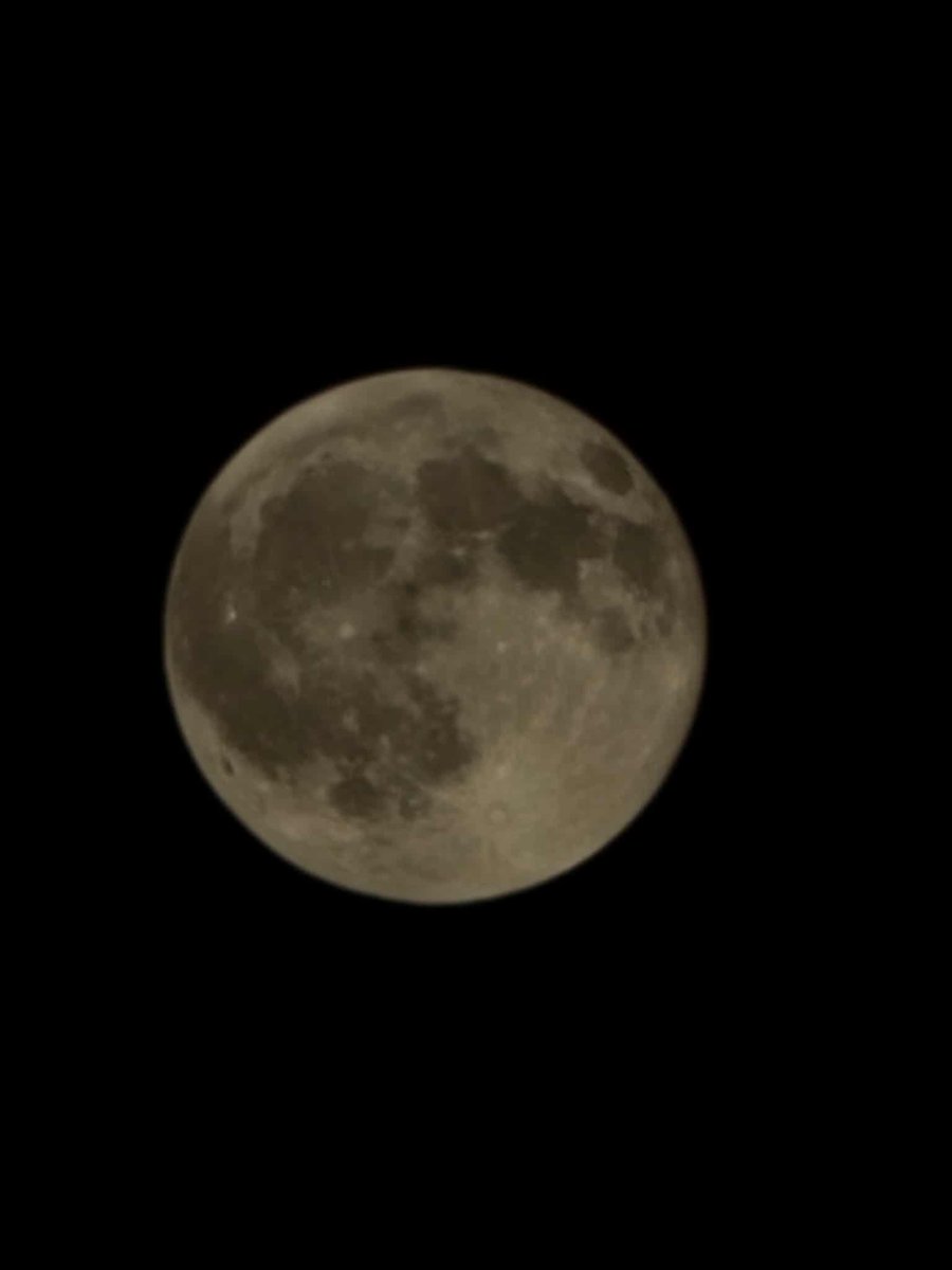 Tiffany Savage 🇺🇸 tweet media