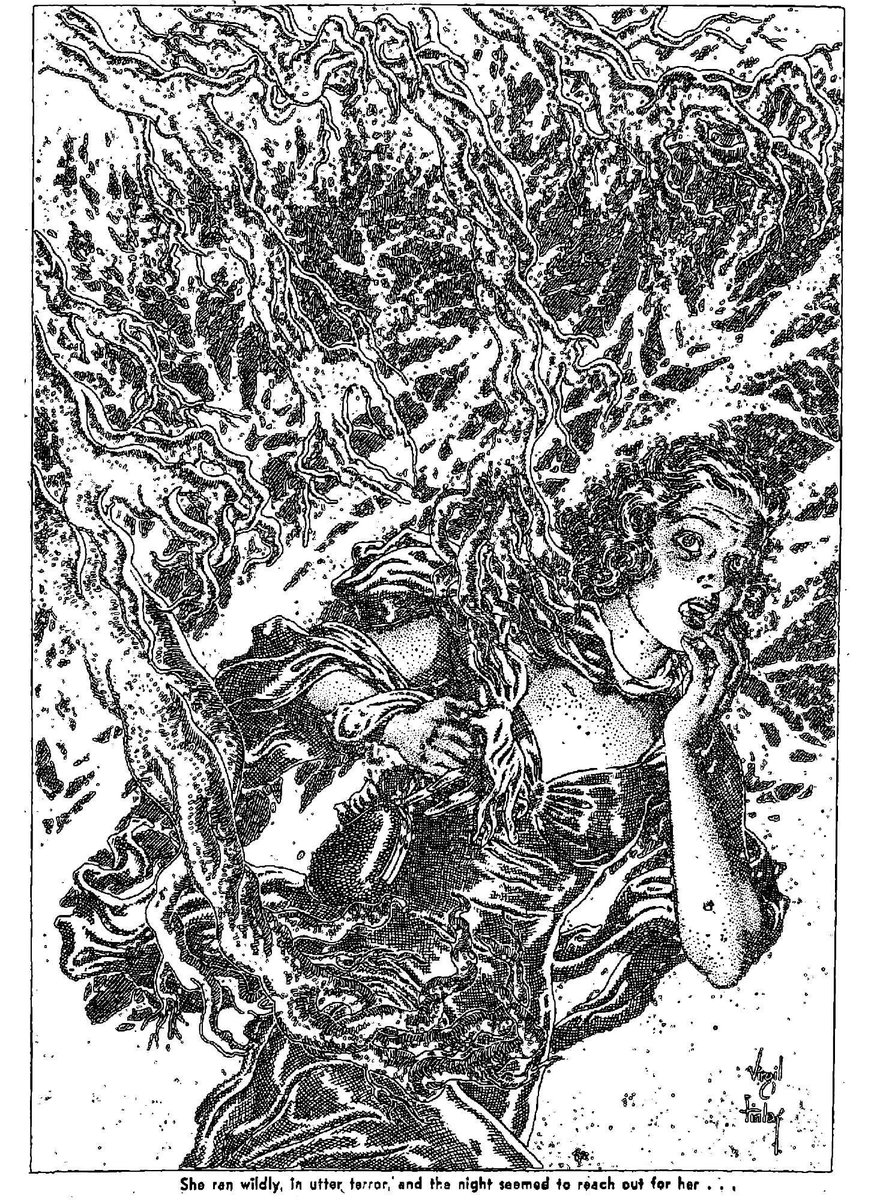 Theo Paijmans tweet media