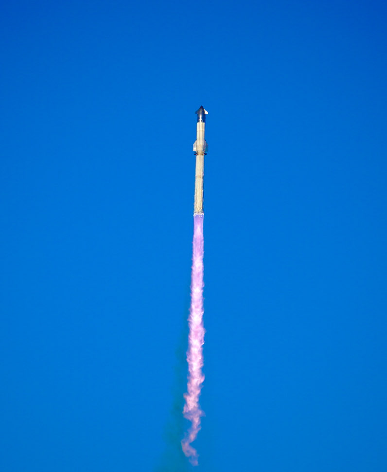 Amy Doehring tweet media