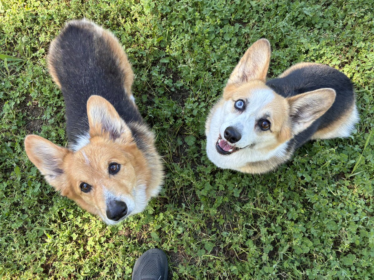 Mr. Marcus tweet media