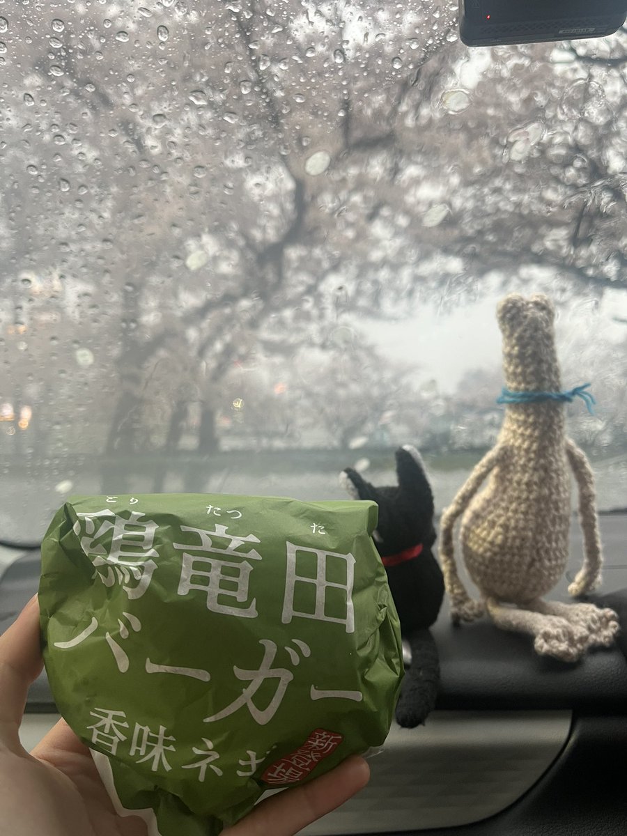 車でお花見！ケンタッキーを食した！