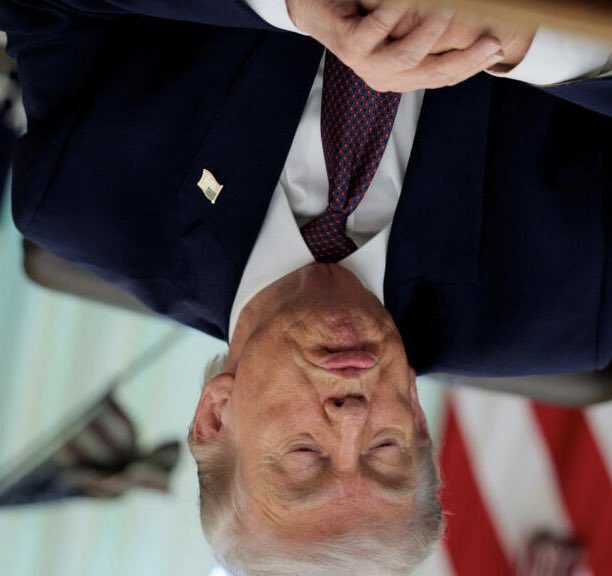 David Vargas Araujo tweet media