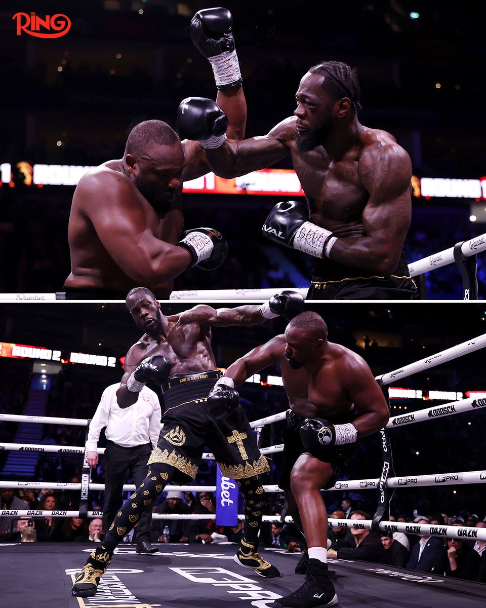 Lolli Native tweet media