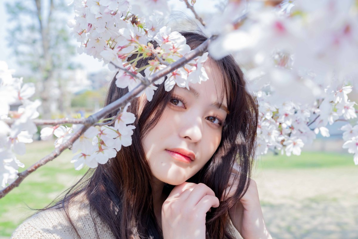 フロン tweet media