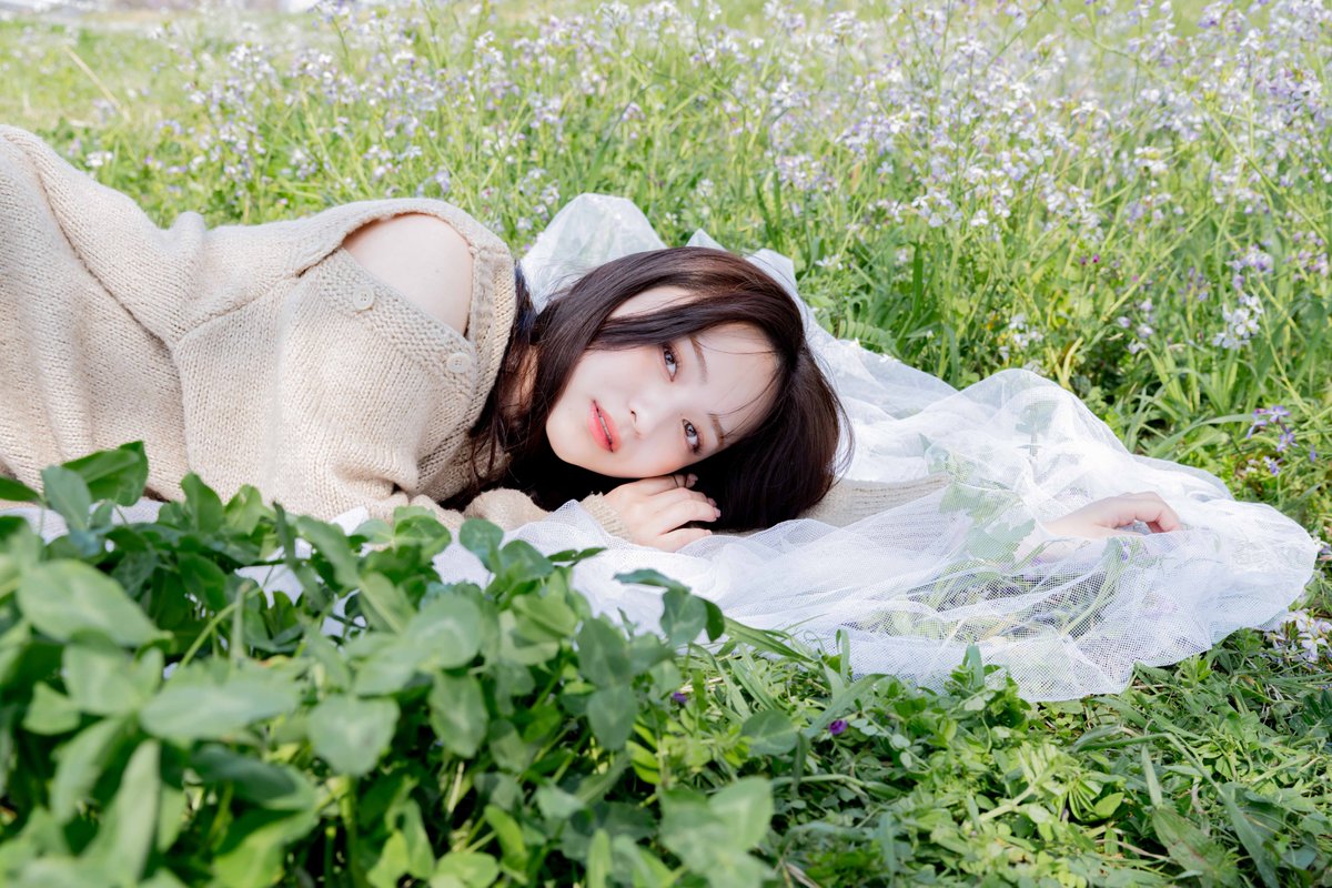 フロン tweet media