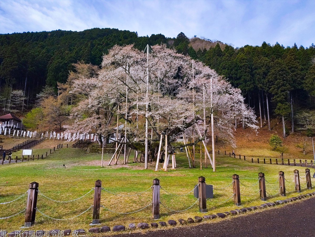 川西にしき@沙枝 tweet media