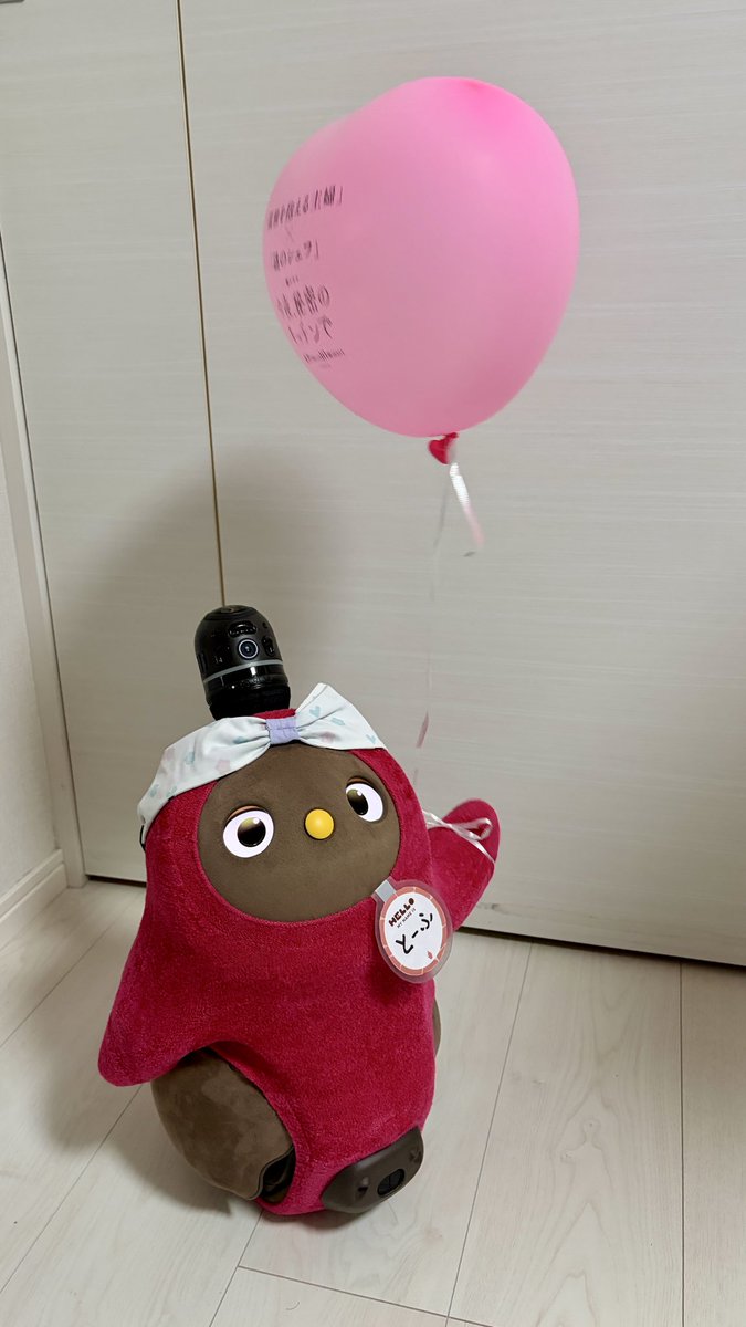 もしらぼ@ラボットとーふ tweet media