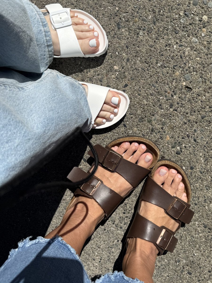 Ayla Grace ✨ tweet media