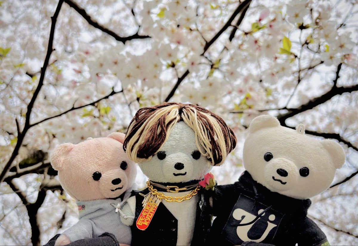 山の子りす🐧🎸 tweet media