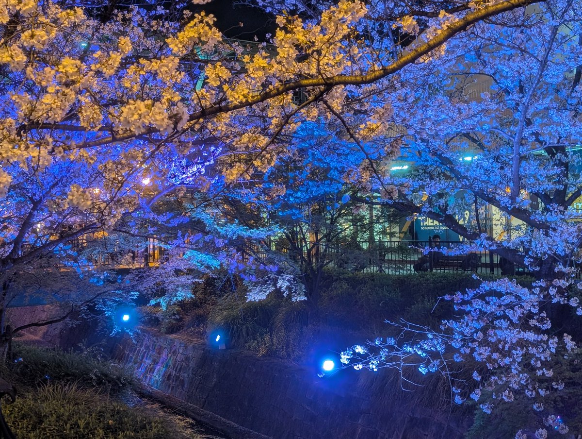 かずぱん@エンタメ好きWEBクリエイター tweet media