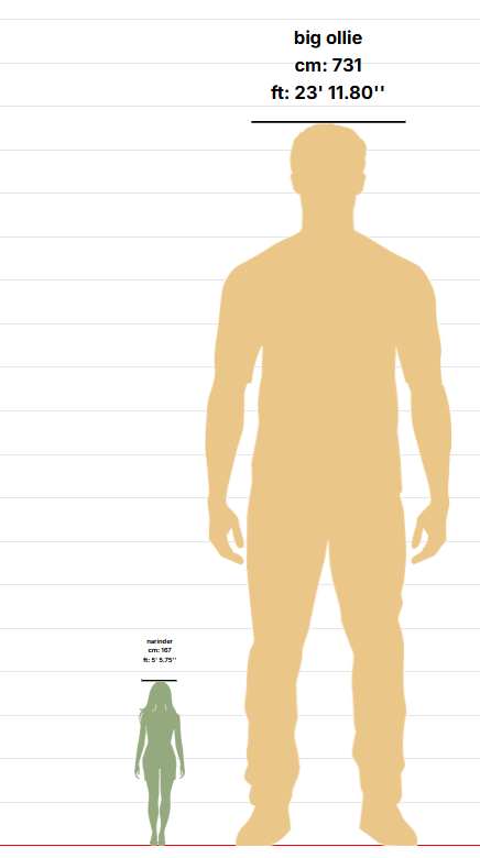 narinder the head spinner tweet media